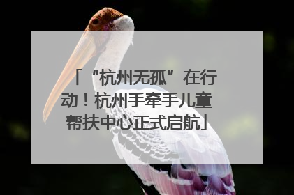 “杭州无孤”在行动！杭州手牵手儿童帮扶中心正式启航